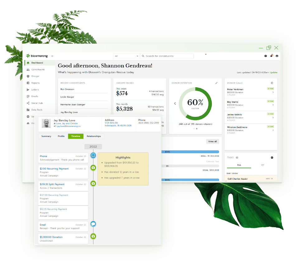 Bloomerang User Interface