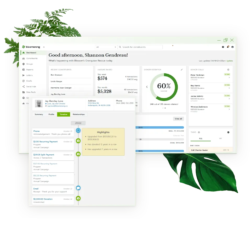 Bloomerang User Interface
