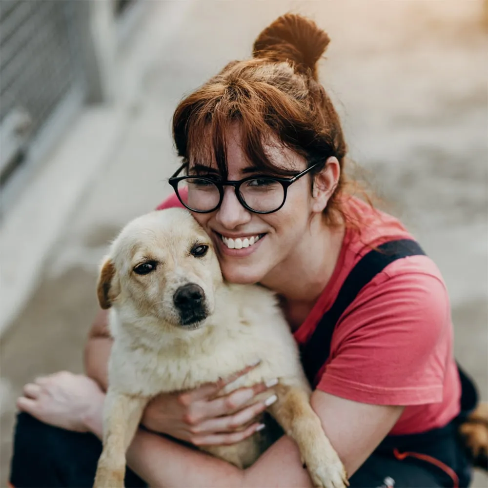 Humane Society Donor Experience Report