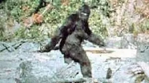 Bigfoot