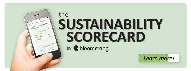 Bloomerang sustainability scorecard