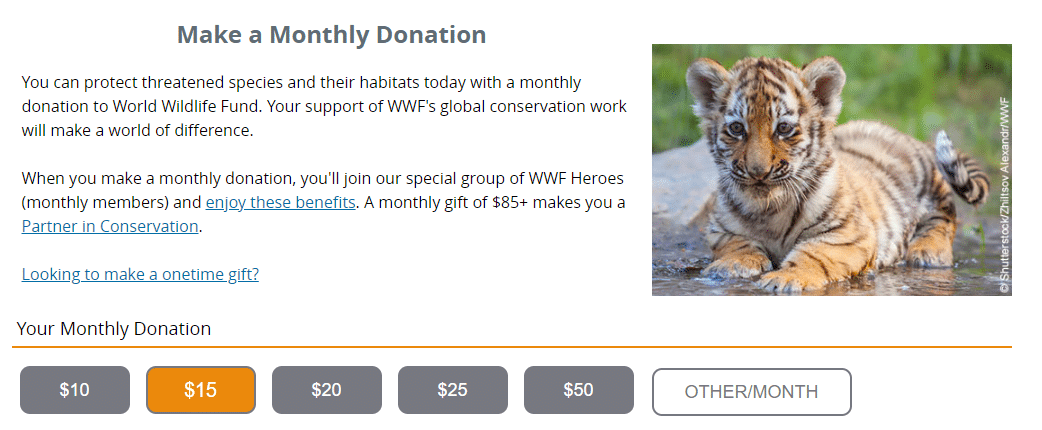 The World Wildlife Fund
