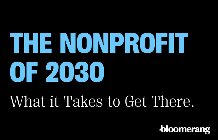 The Nonprofit of 2030
