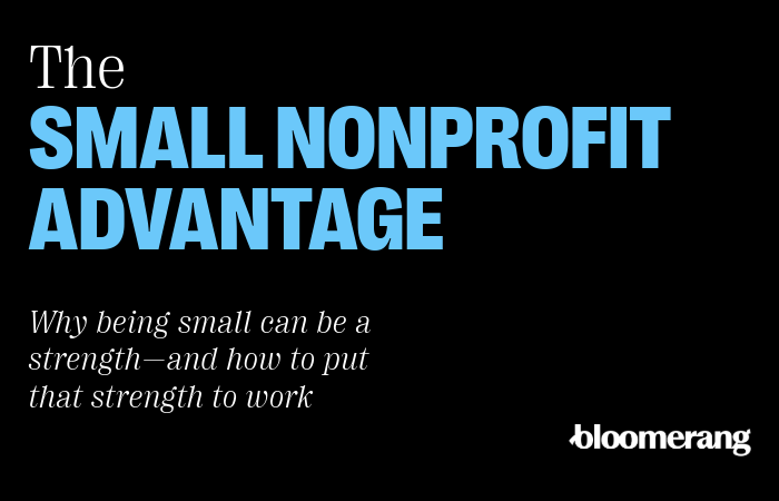 The Small Nonprofit Advantage: Strategy for Small Nonprofits