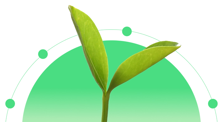 A plant sprouting with 4 circles surrounding it.