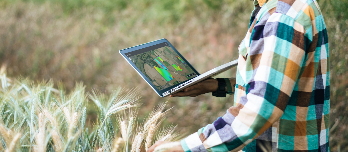A farmer looking at data on his laptop