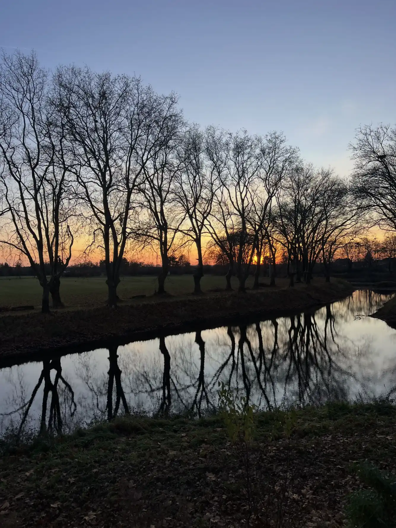 Idyllischer Sonnenuntergang am Teich des Lorf B&B in Aken, malerische Platanenallee und absolute Ruhe im Biosphärenreservat Mittelelbe.