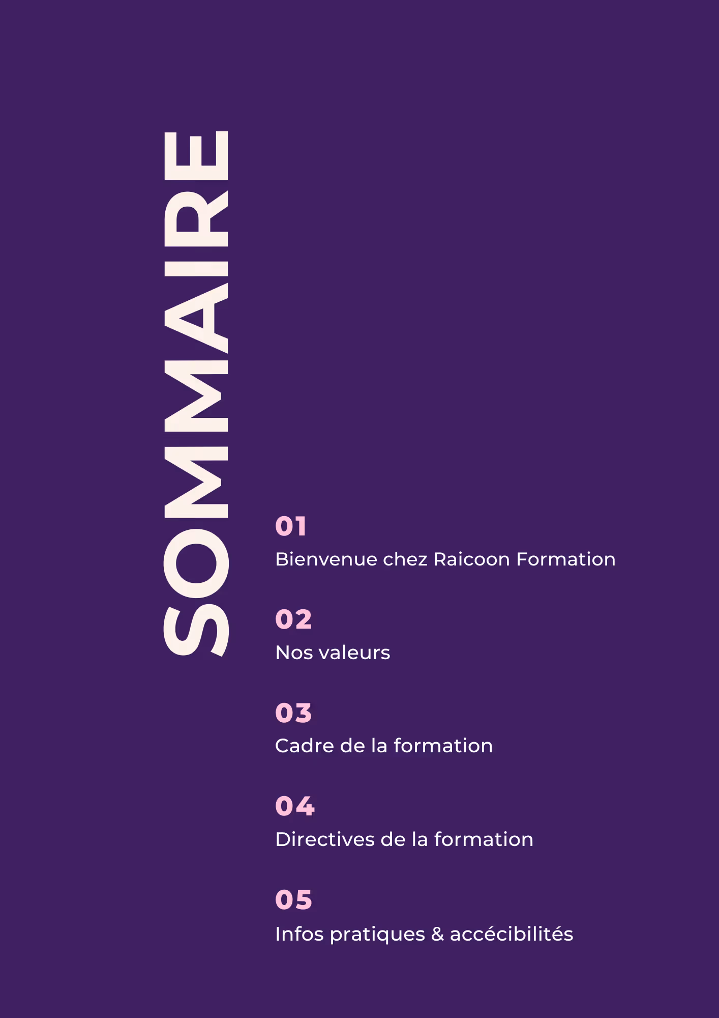 Sommaire du livret d'accueil listant le programme, les valeurs et les informations pratiques de la formation IA.