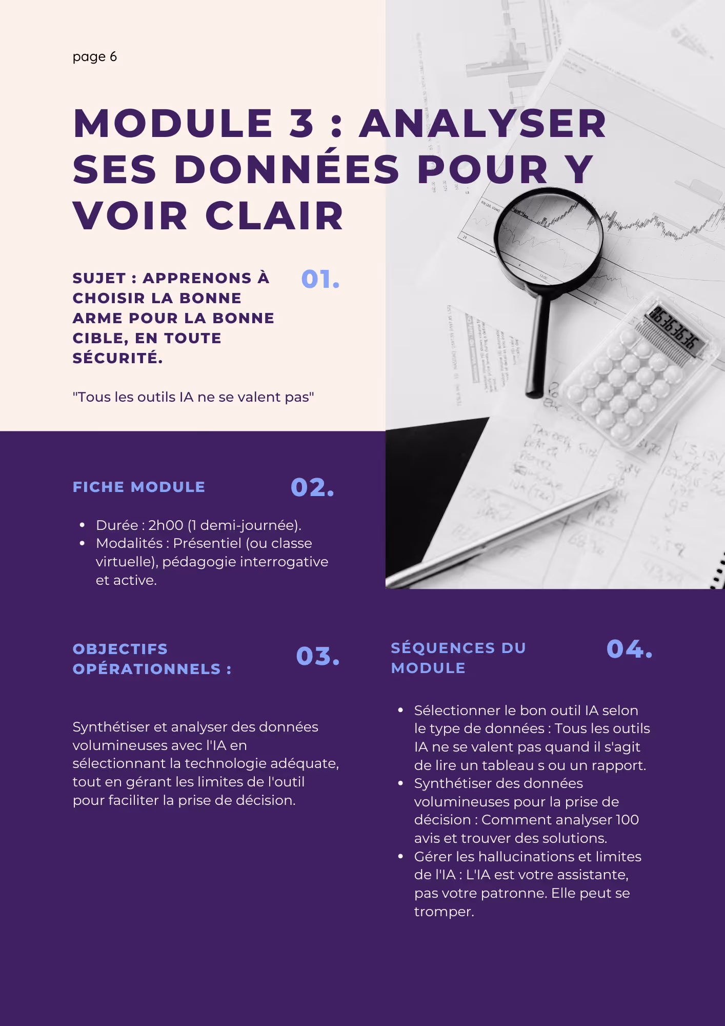 Détail du Module 3 : Apprendre à analyser ses données d'entreprise avec l'IA pour faciliter la prise de décision.