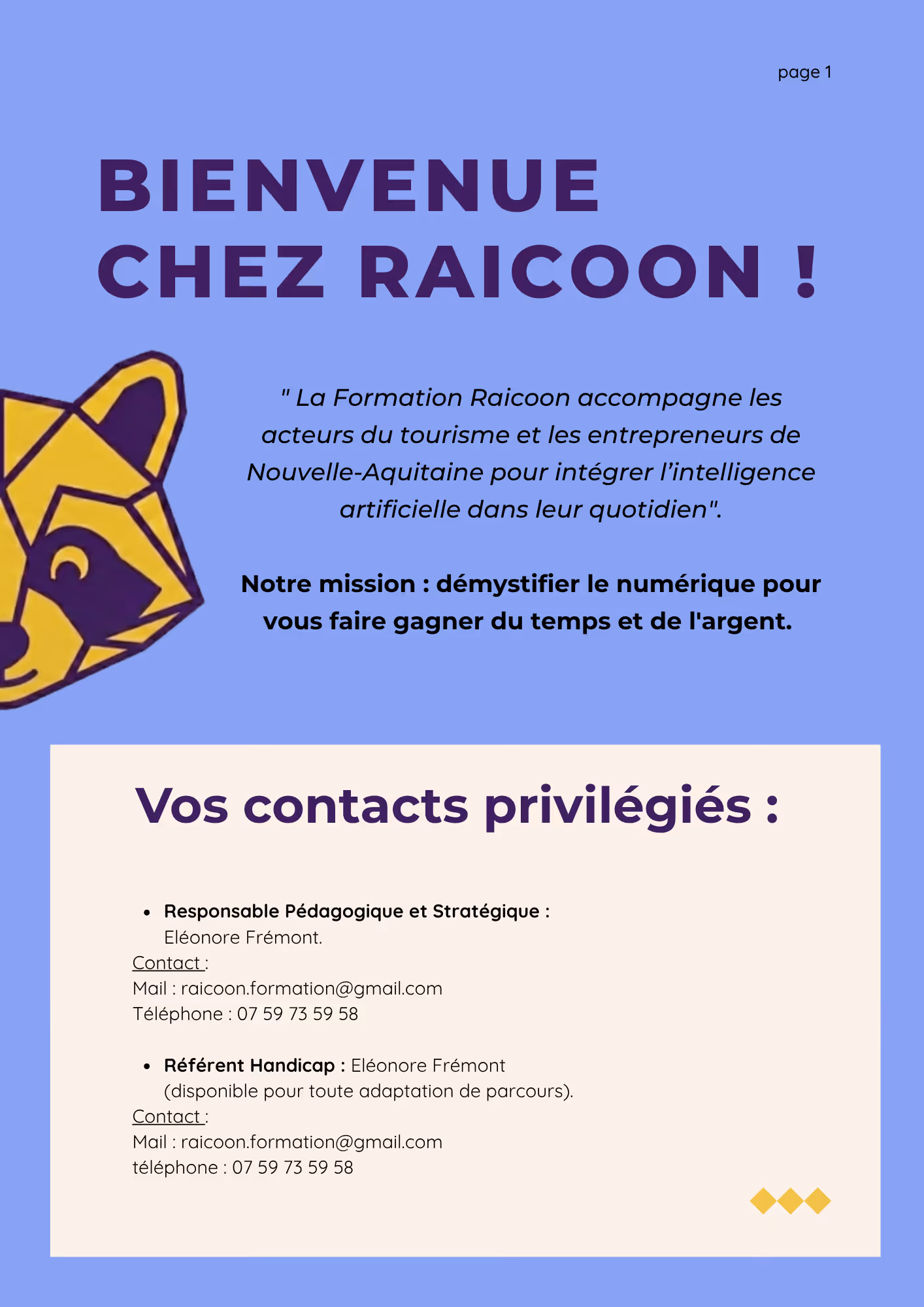 Page de bienvenue présentant la mission de Raicoon Formation pour les TPE du tourisme et les contacts pédagogiques.