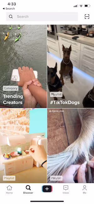 TikTok trending categories and playlists on the Discover page
