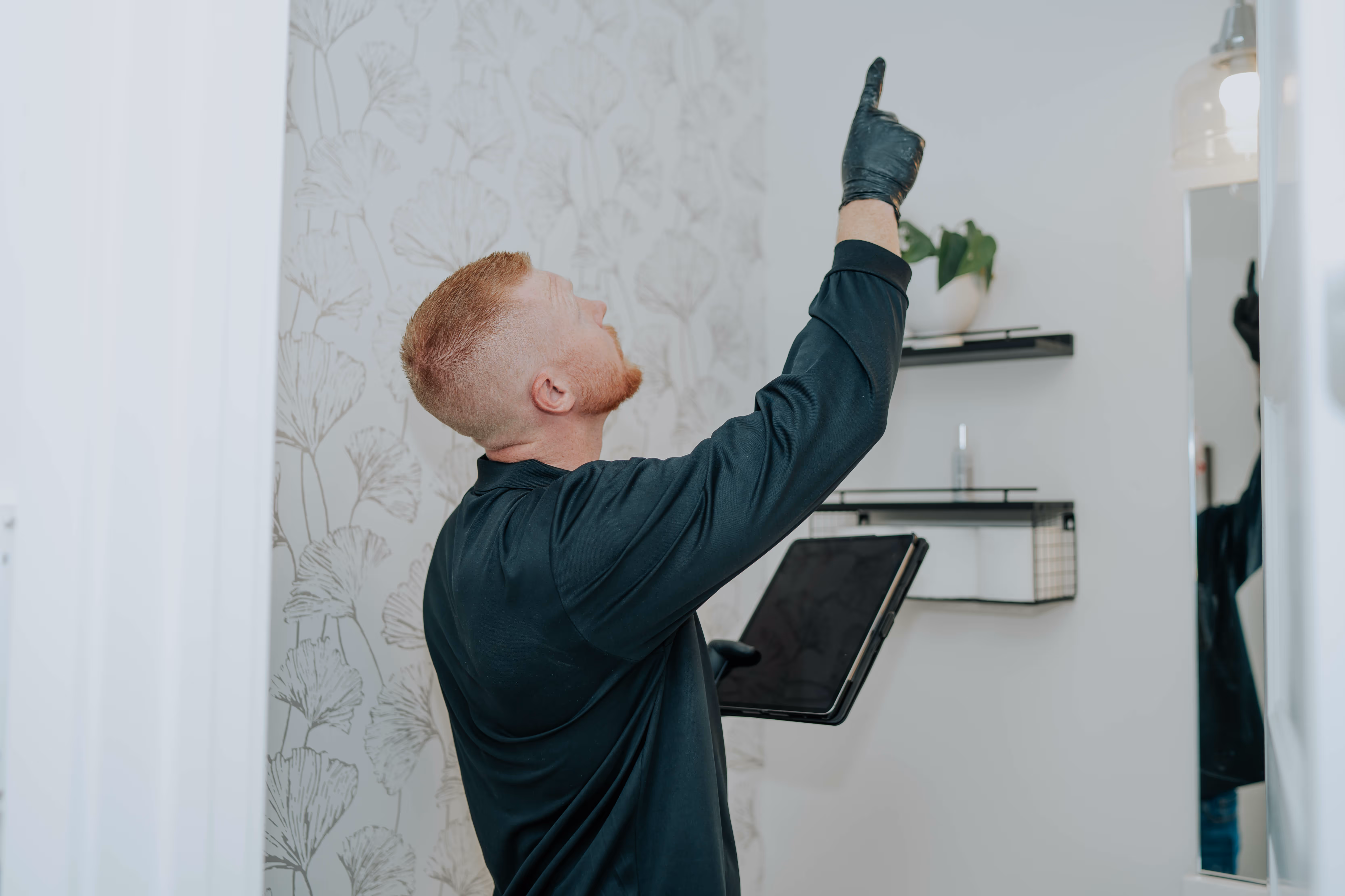 Mold inspection