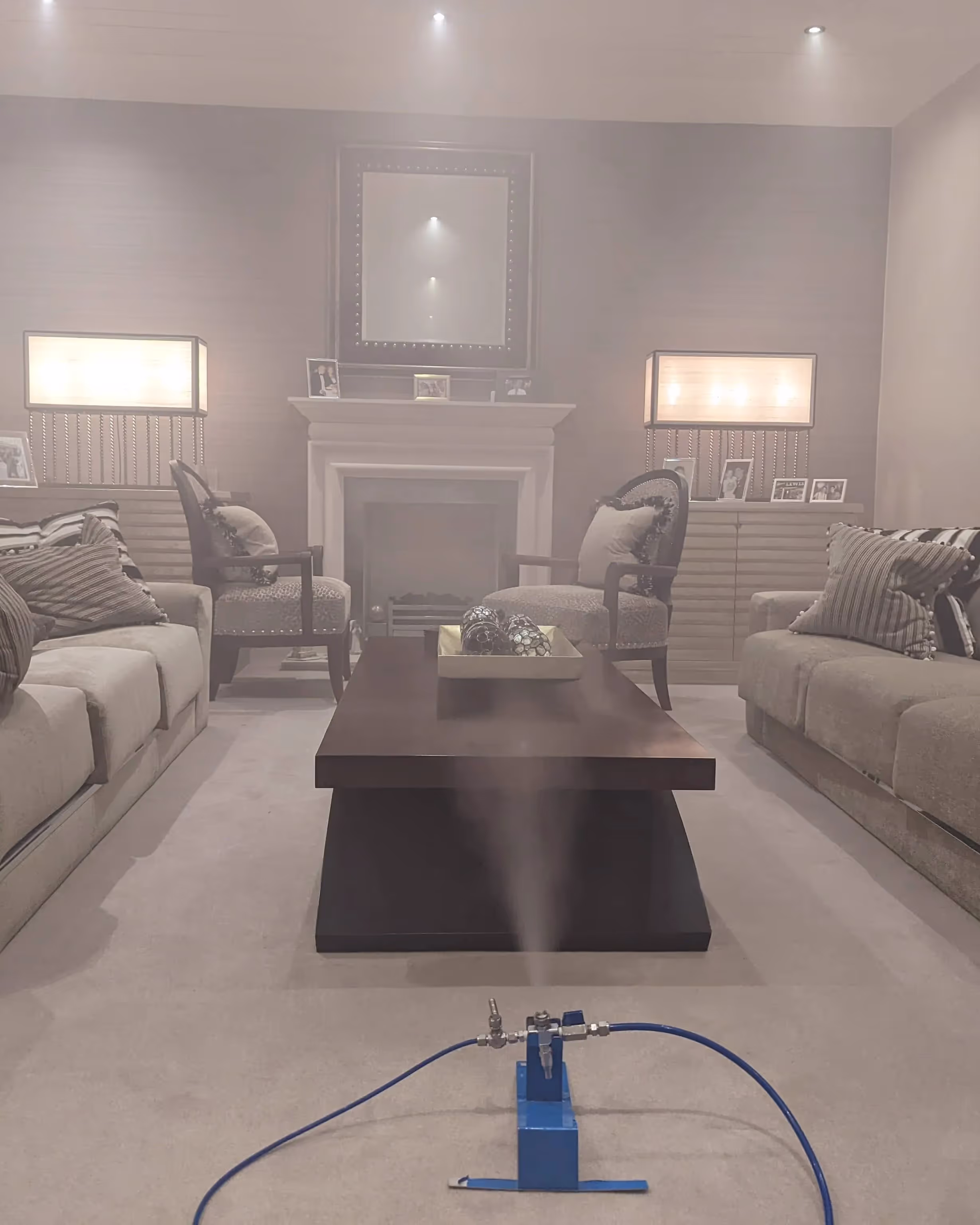 Carpet mold removal