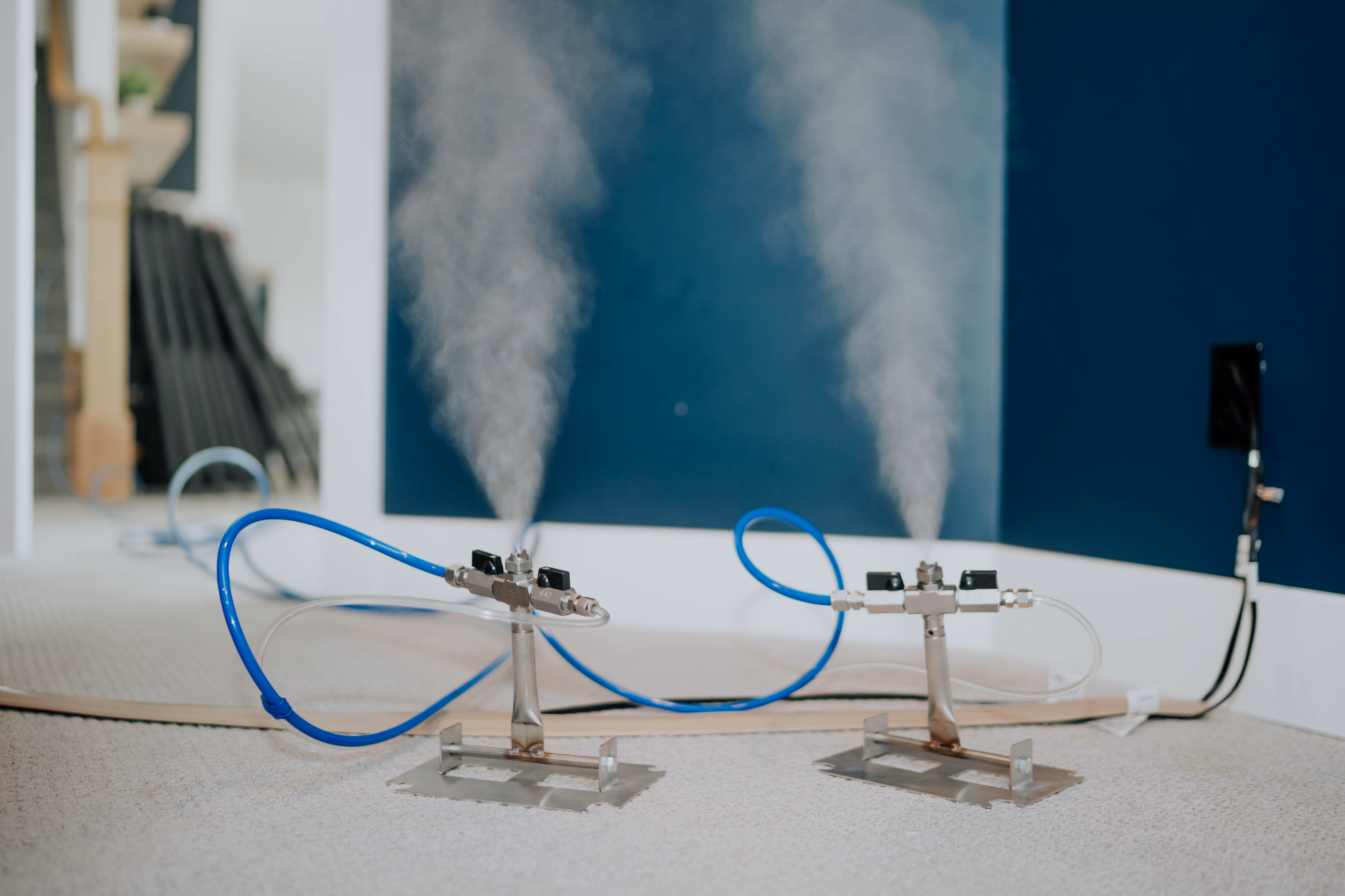 Mold removal