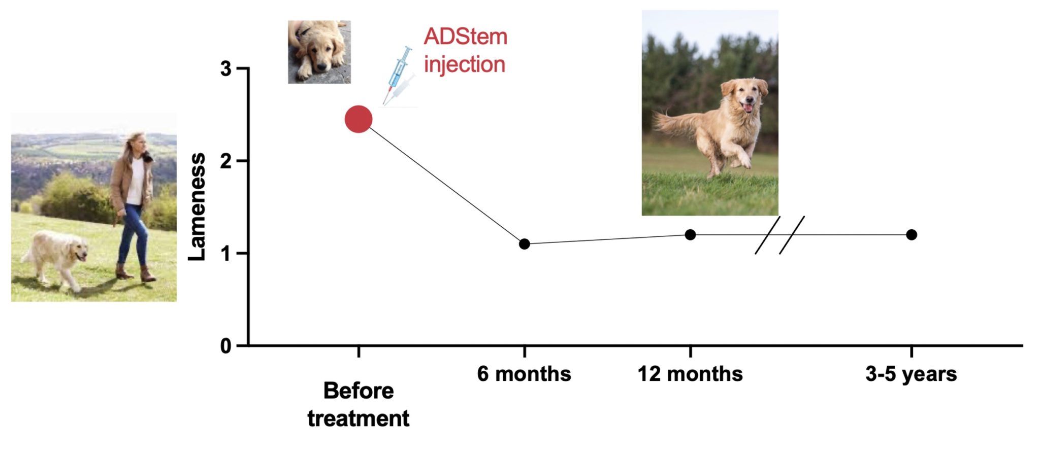 Long-Term Follow Up of Our Stem Cell Treatment in Frontiers in Veterinary Science