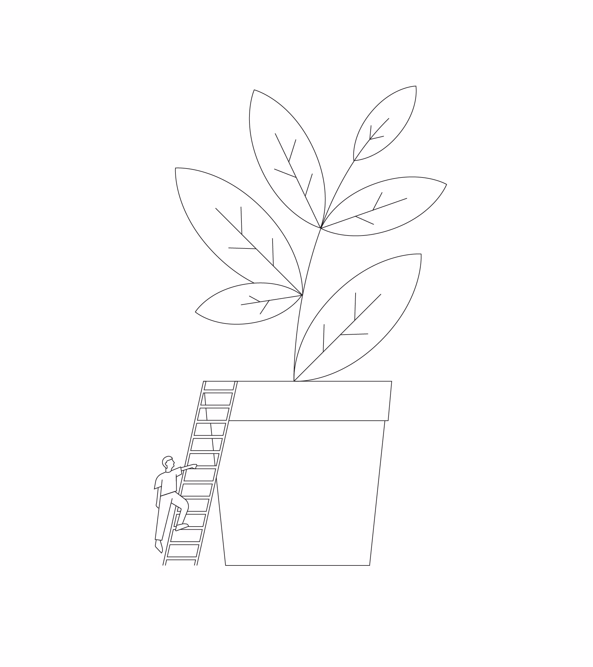 Illustration of a person climbing a ladder beside a flourishing potted plant