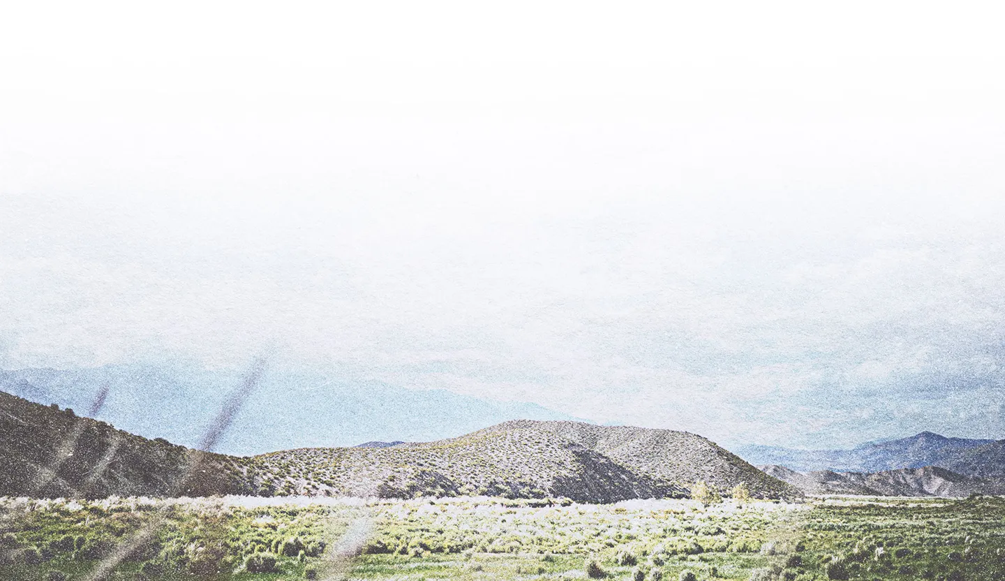 Wide open landscape with green shrubs in the foreground and low, rolling hills under a bright sky.