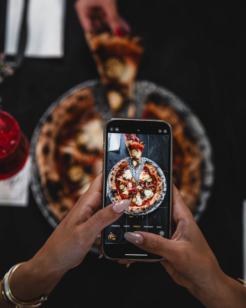 Skqutz logo with stylized tree and lettering.