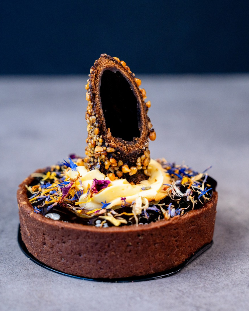 Skqutz logo with stylized tree and lettering.