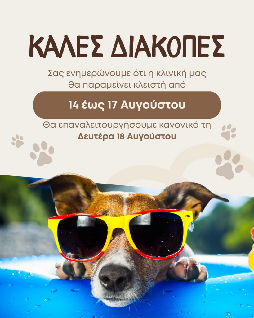 Skqutz logo with stylized tree and lettering.