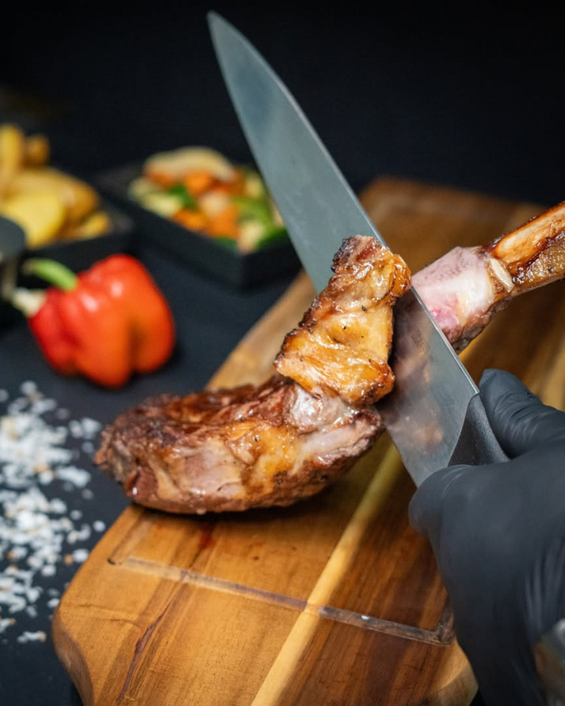 Skqutz logo with stylized tree and lettering.