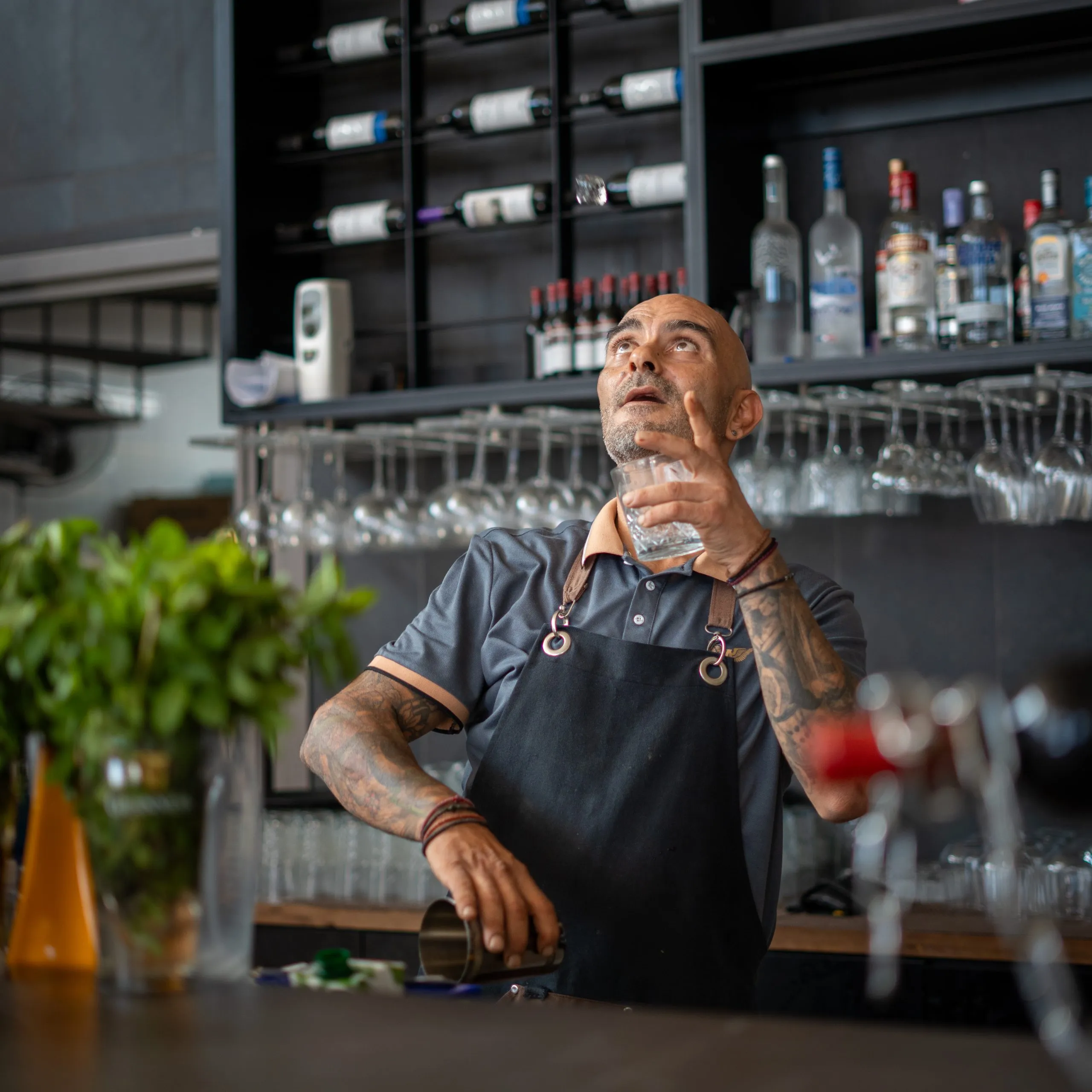 Skqutz logo with stylized tree and lettering.