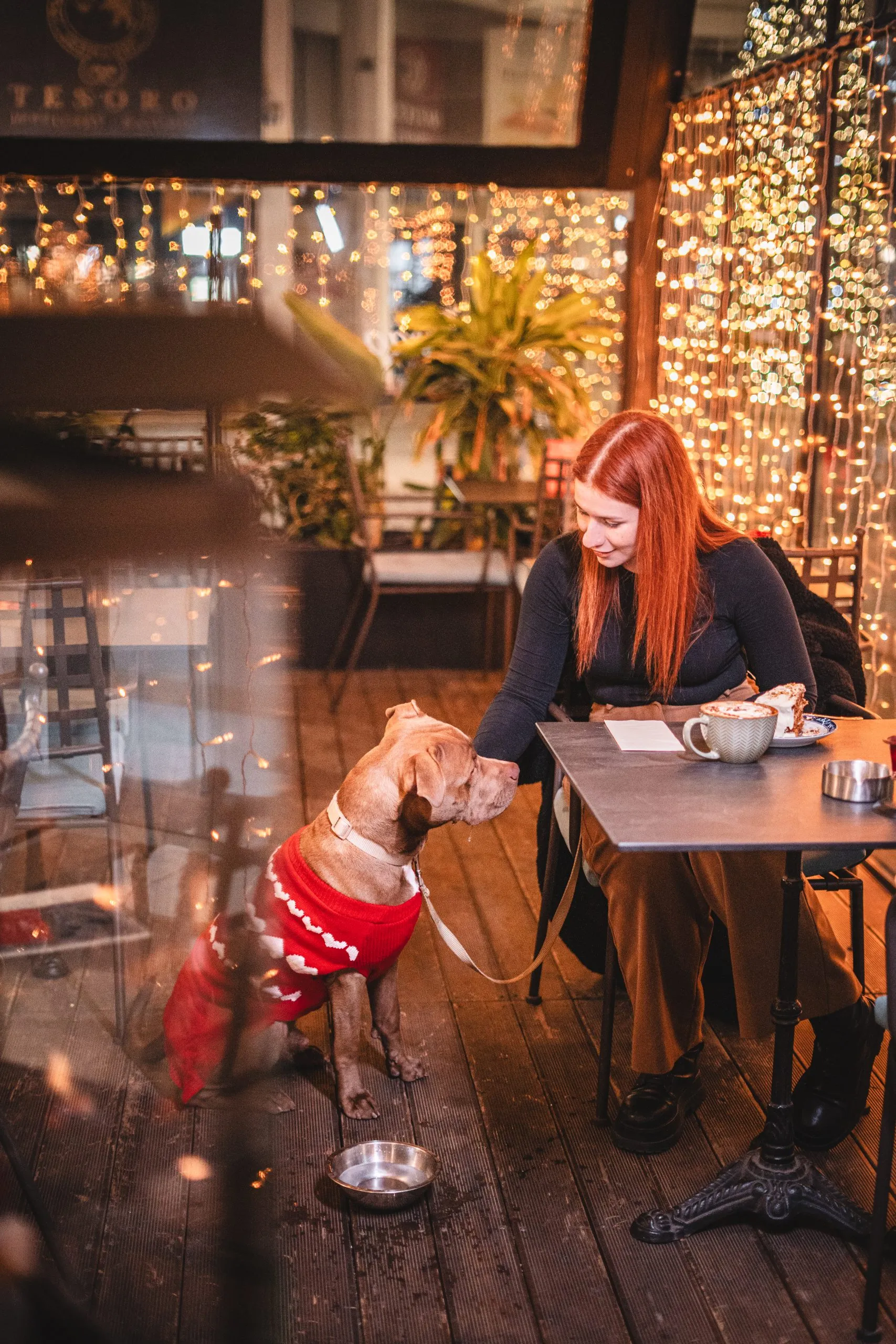 Woman with red hair sitting at a table in a café petting a brown dog wearing a red sweater with white hearts, surrounded by warm string lights.