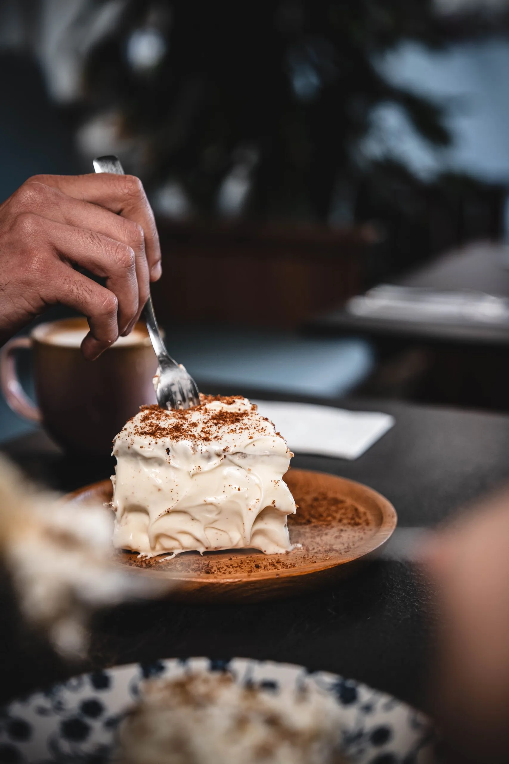 Skqutz logo with stylized tree and lettering.