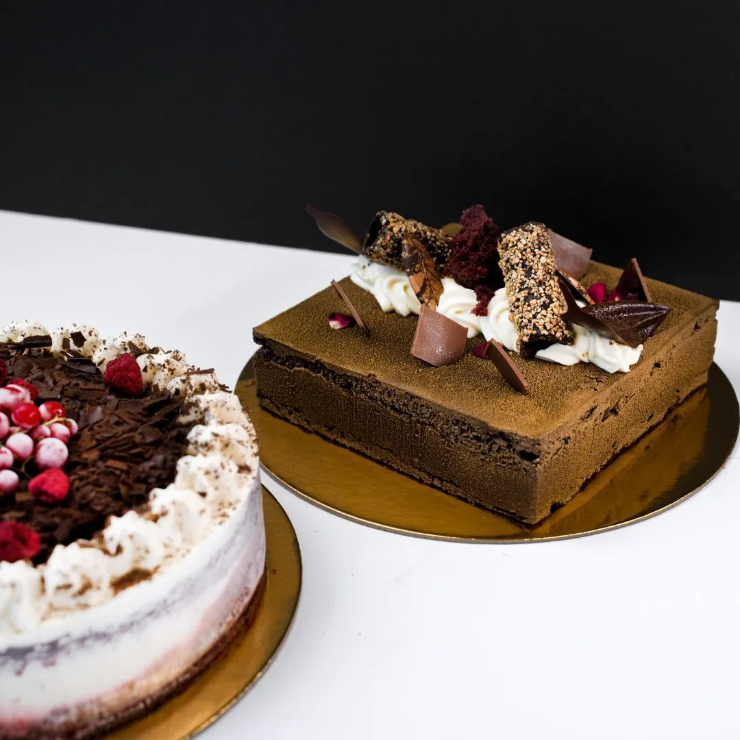 Skqutz logo with stylized tree and lettering.