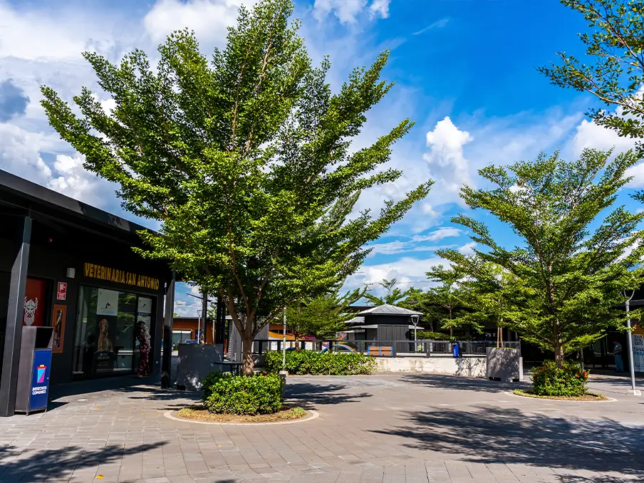 PLAZA COMERCIAL PASARES