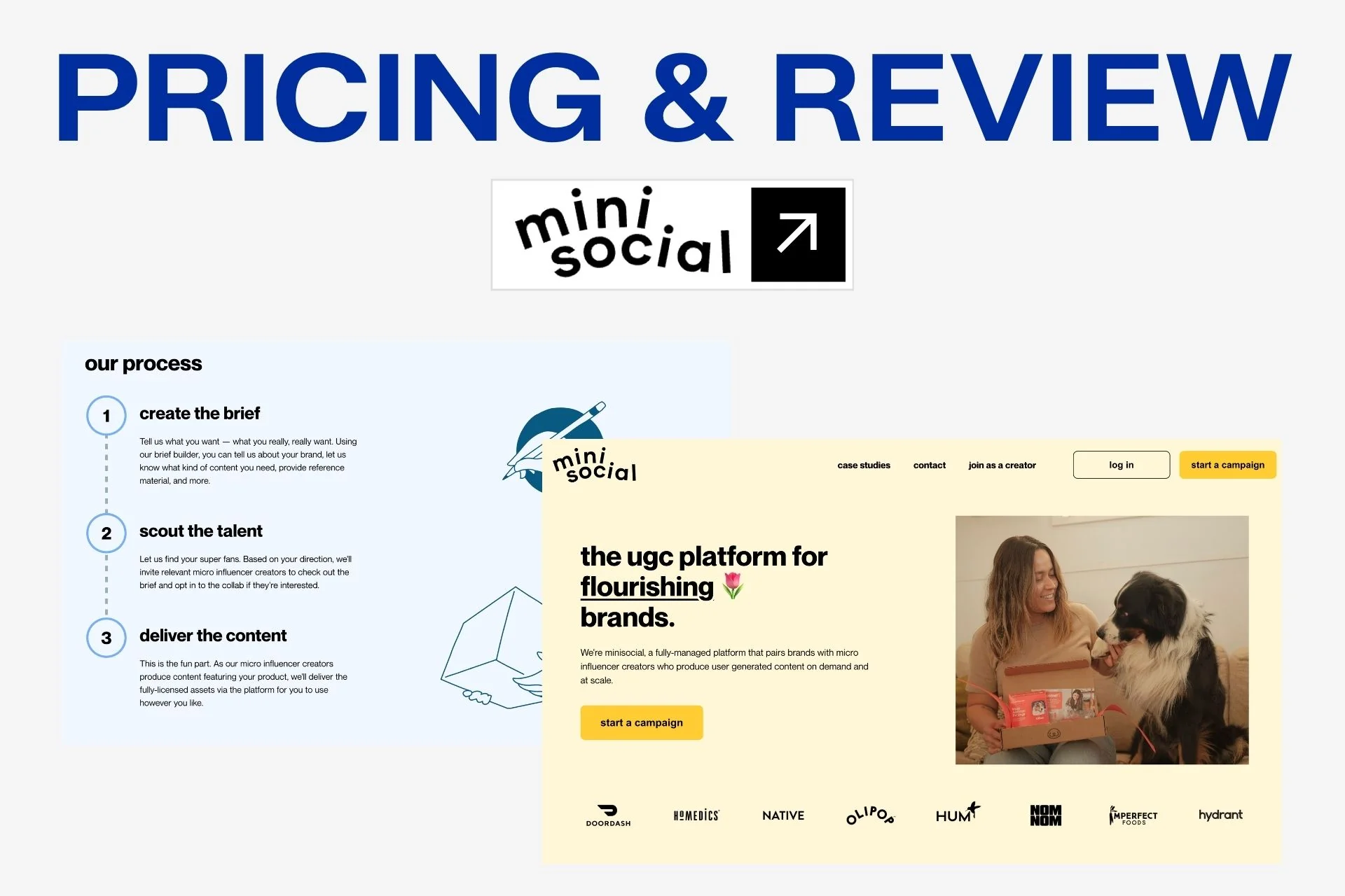 Minisocial Pricing and Review