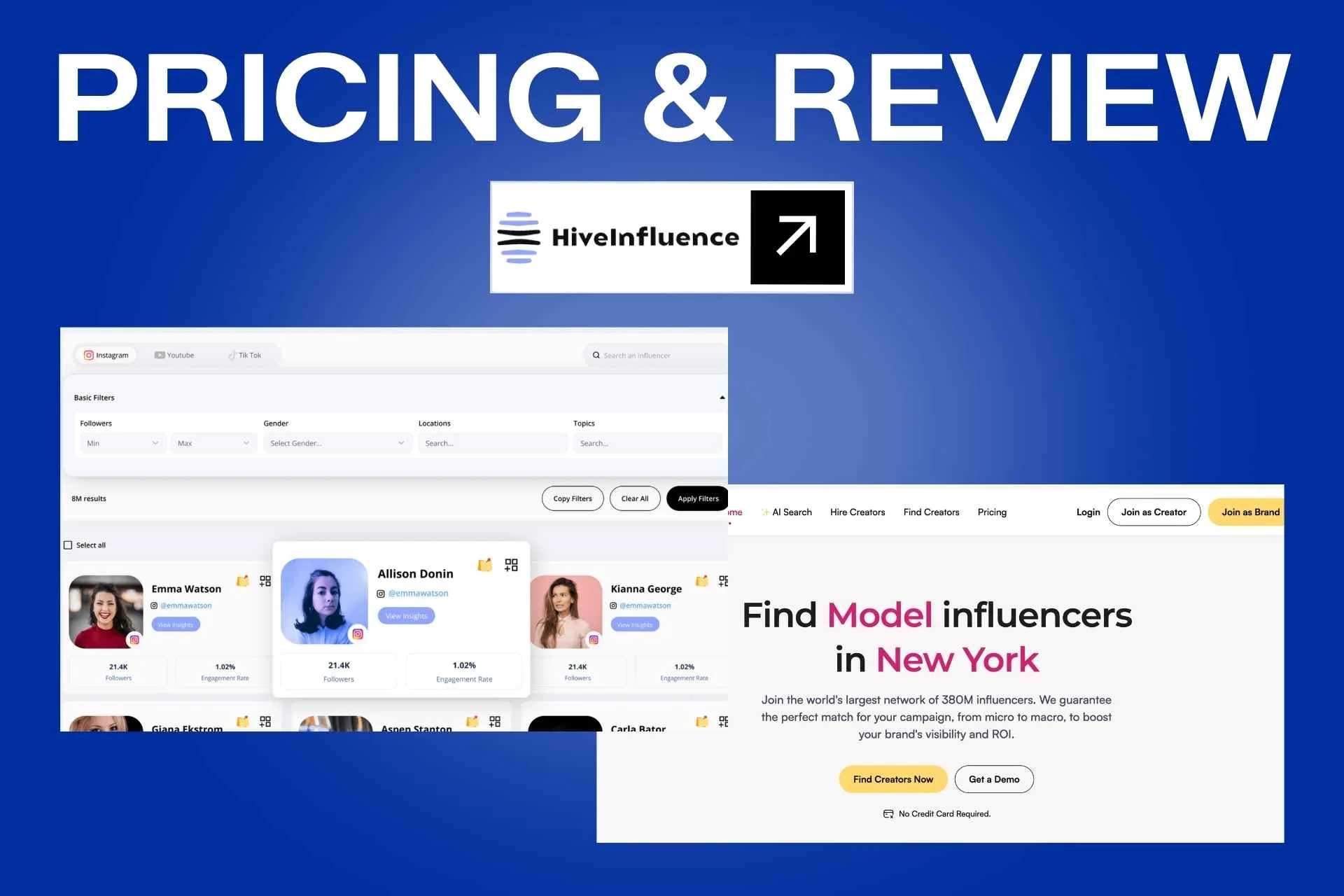 HiveInfluence Pricing and Review