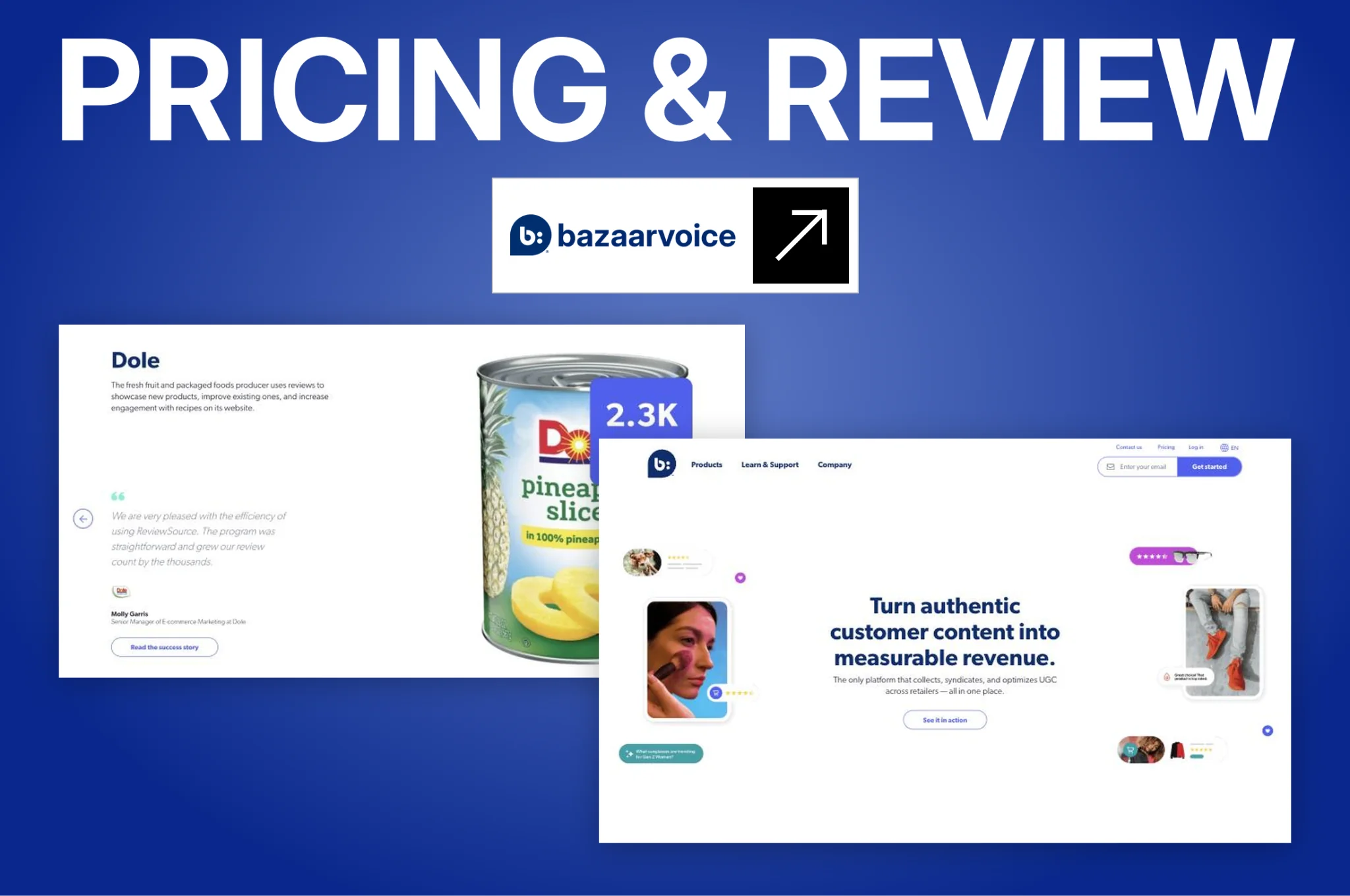 Bazaarvoice Pricing and Review