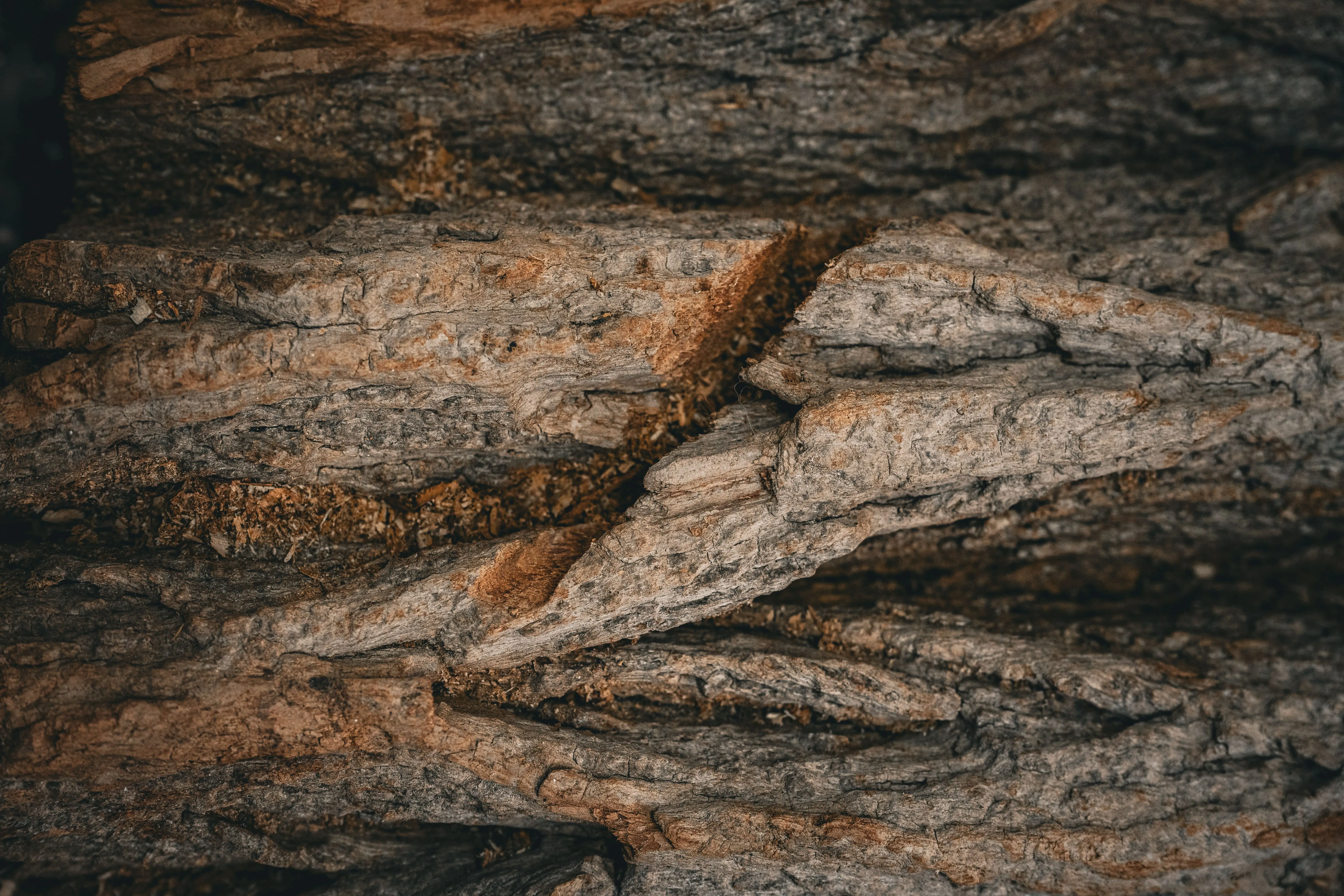 Close-up van boomschors, de oorsprong van het hout bij HoutNikamp