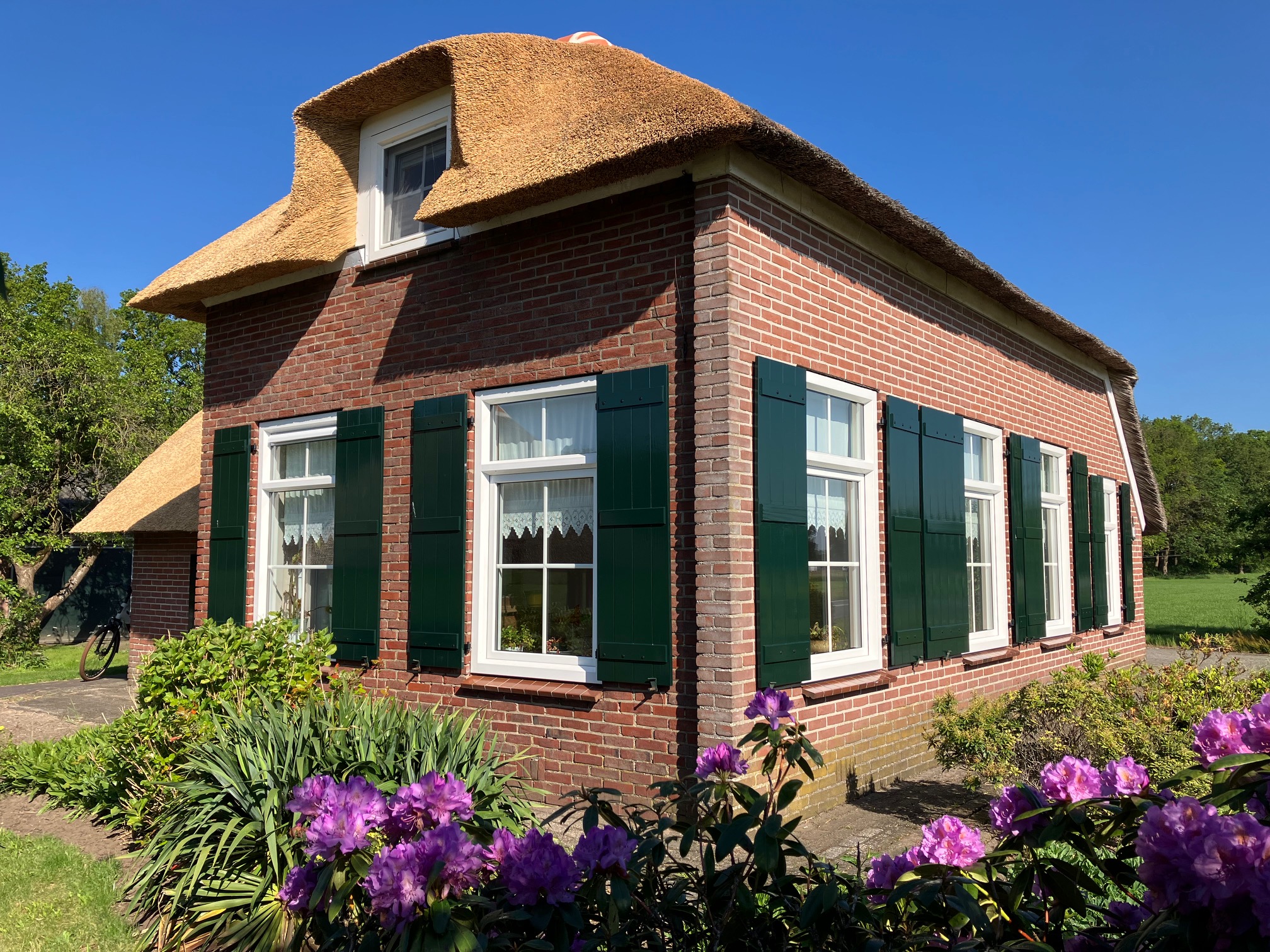 Boerderij met ambachtelijk gemaakte groene raamluiken