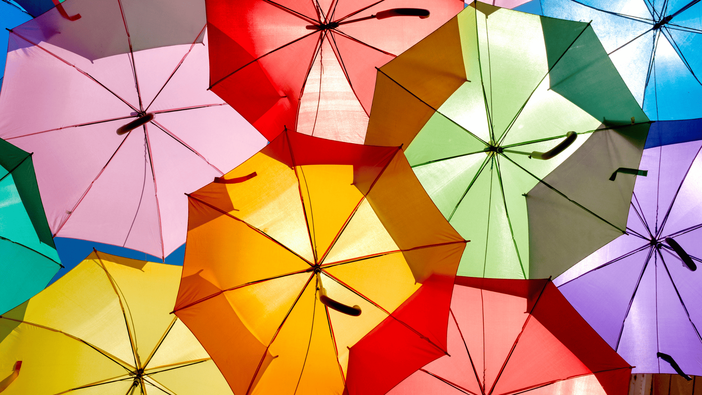 Springing into New Colors with Dashboard Updates