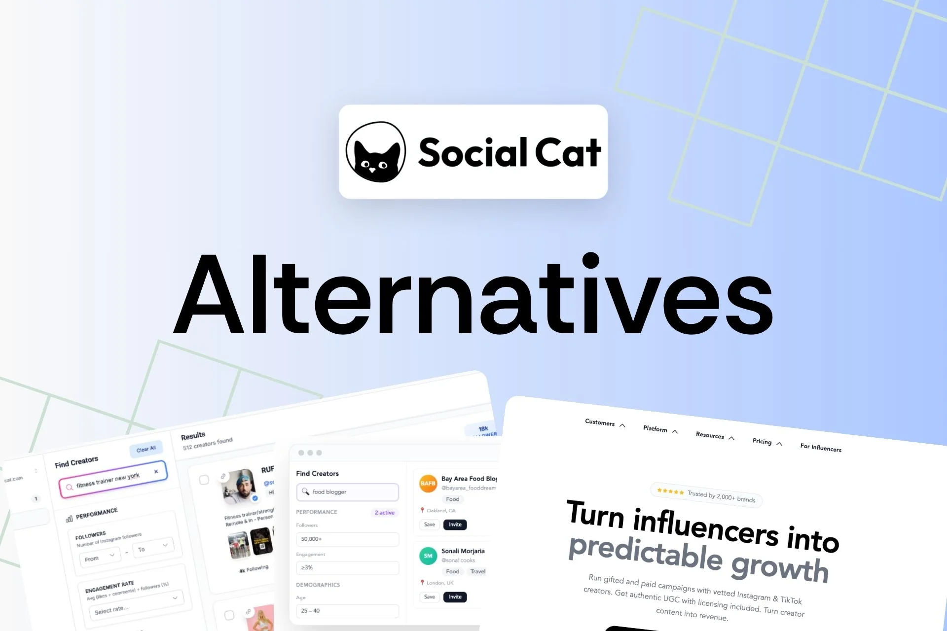 Social Cat Alternatives