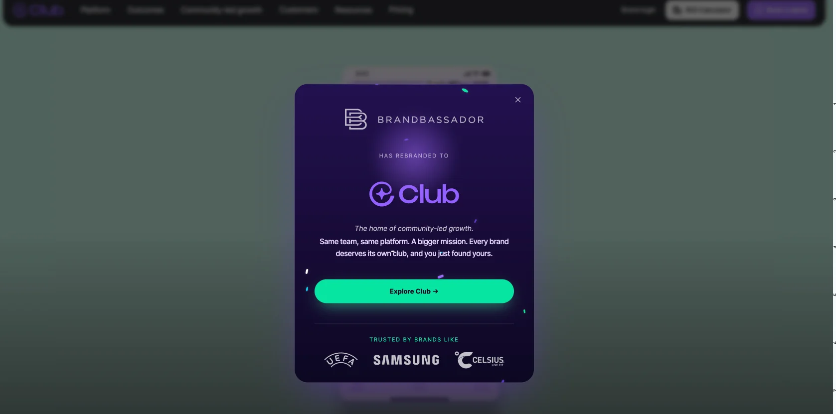 Brandbassador Influencer Marketing Platform Overview