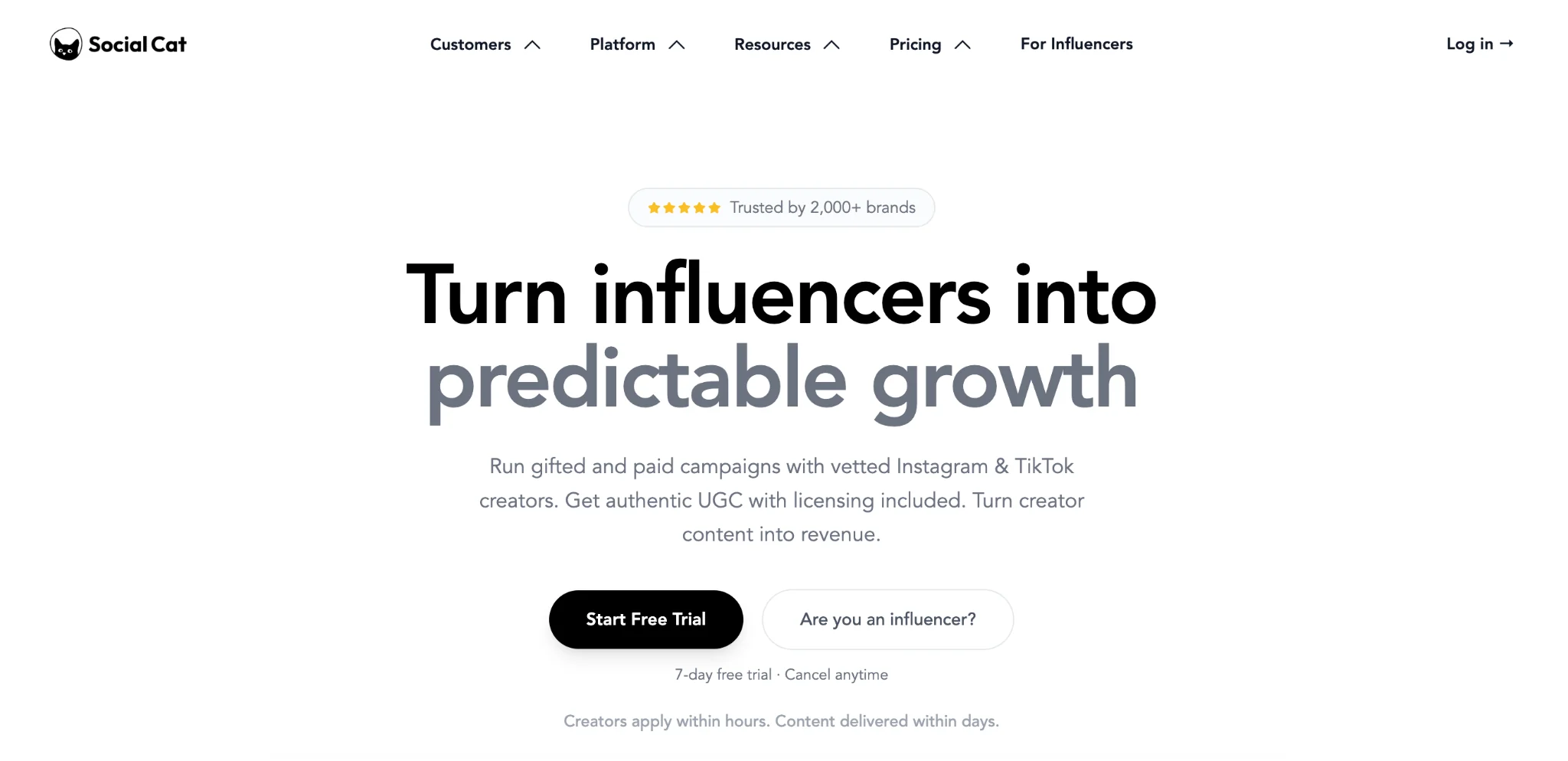 Social Cat Influencer Marketing Platform Overview