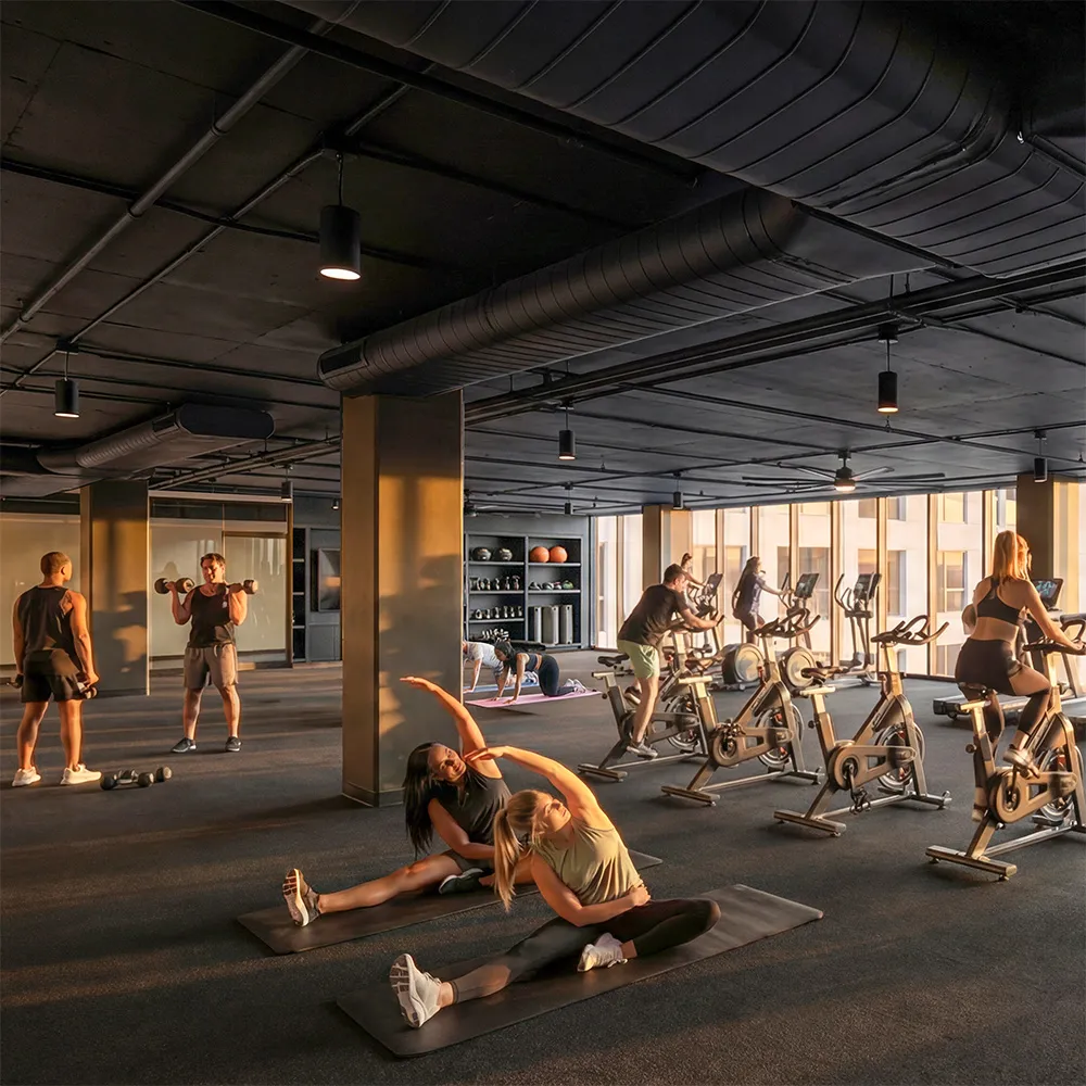 People exercising on bikes and treadmills in a gym with large windows showing a sunset city view.