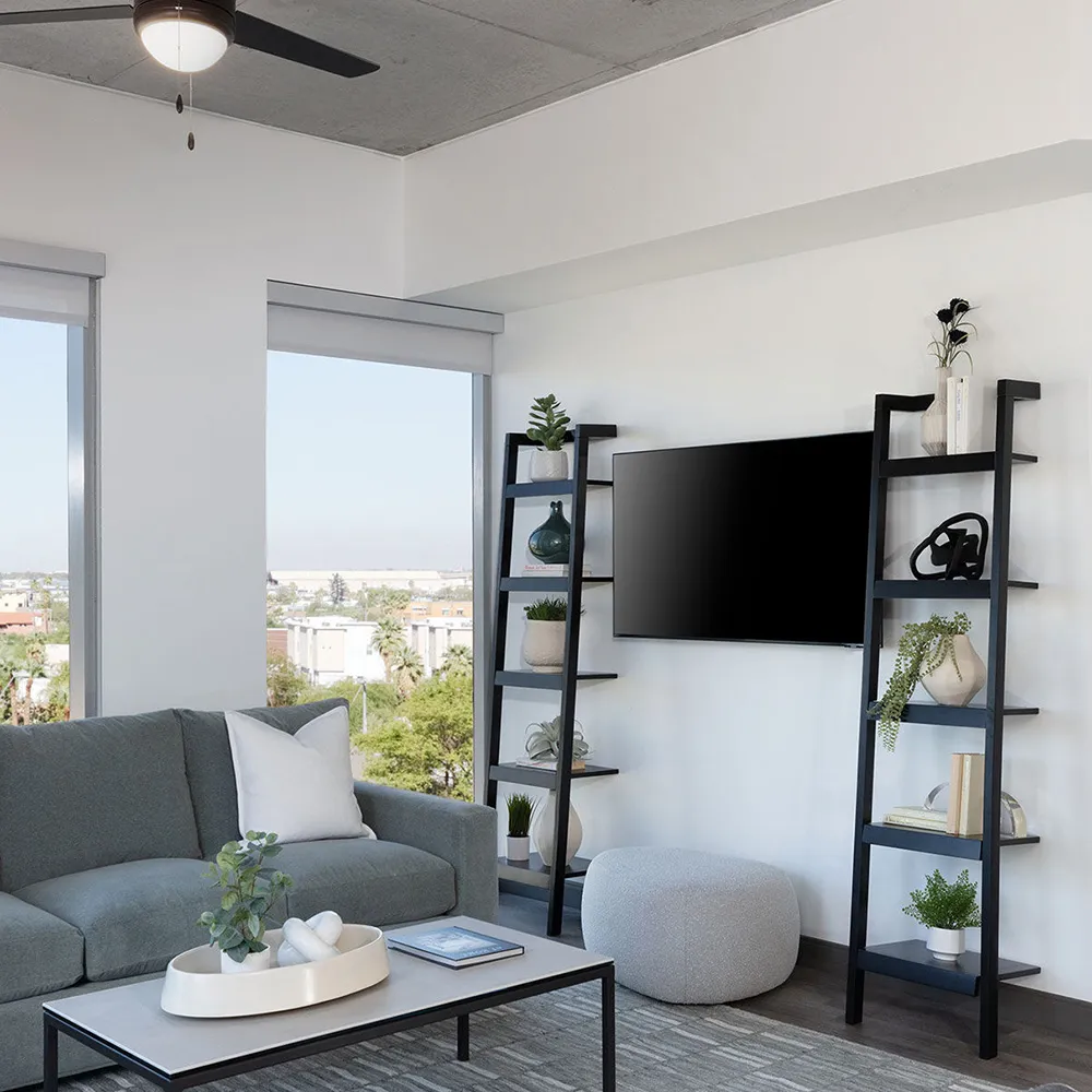 Modern living room with gray sofa, coffee table, flat-screen TV, and decor shelves.