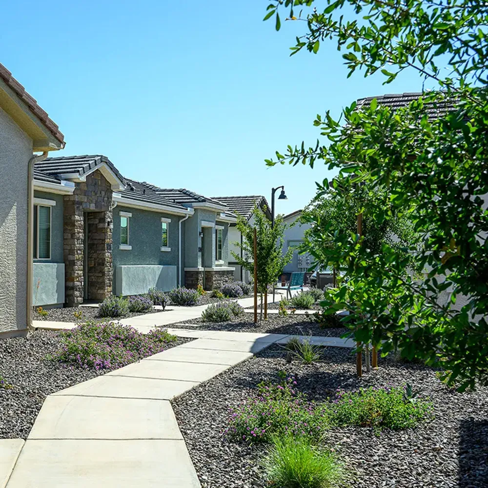 Sidewalk passes by modern houses with stone and stucco walls, and landscaping under clear sky.