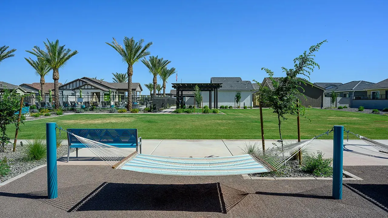 Community park with a hammock, swing bench, palm trees, grassy lawn, and houses in the background.