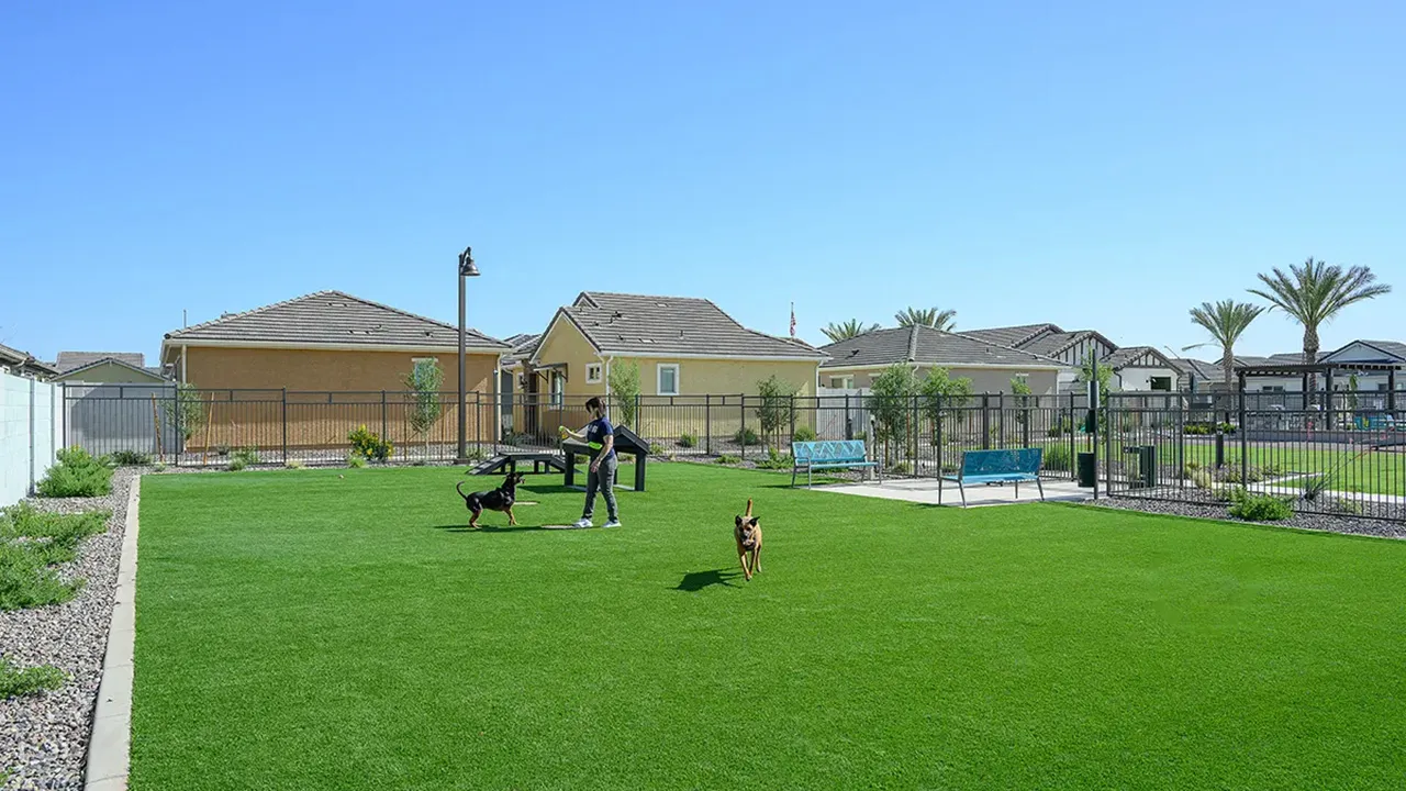 Person playing with two dogs on green grass at a fenced suburban dog park with benches.