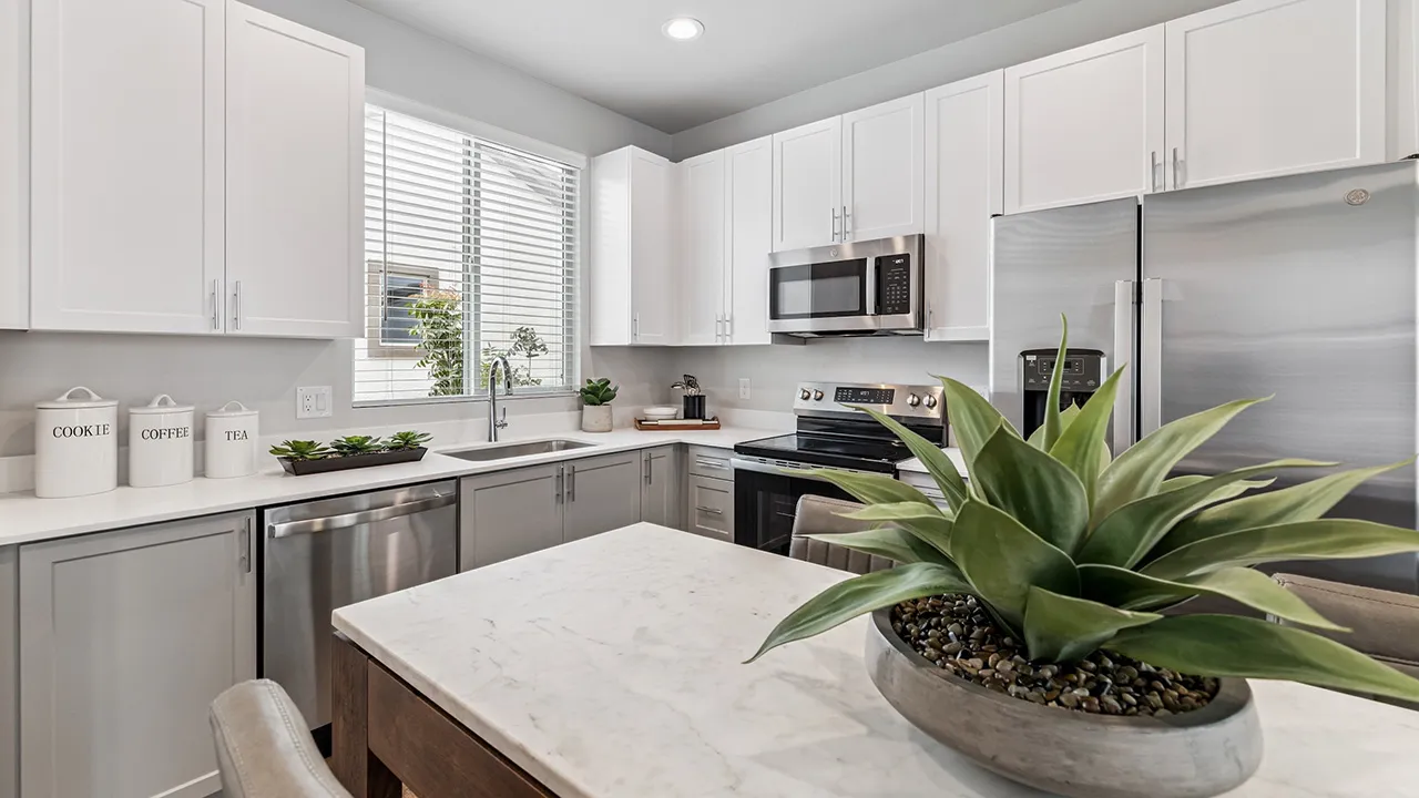 Modern kitchen with white cabinets, stainless steel appliances, and an island with a potted plant.