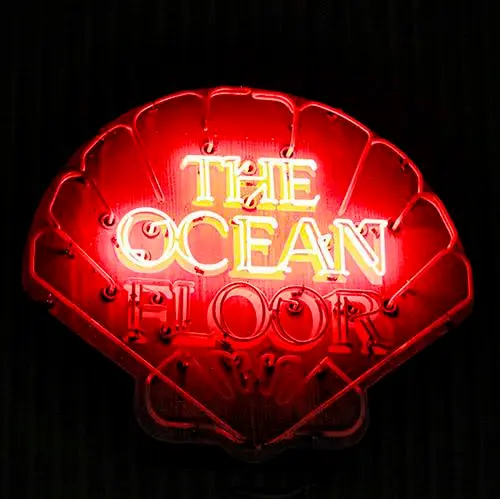 The Ocean Floor