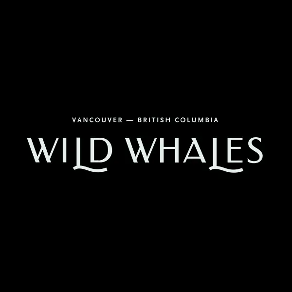 Wild Whales Vancouver
