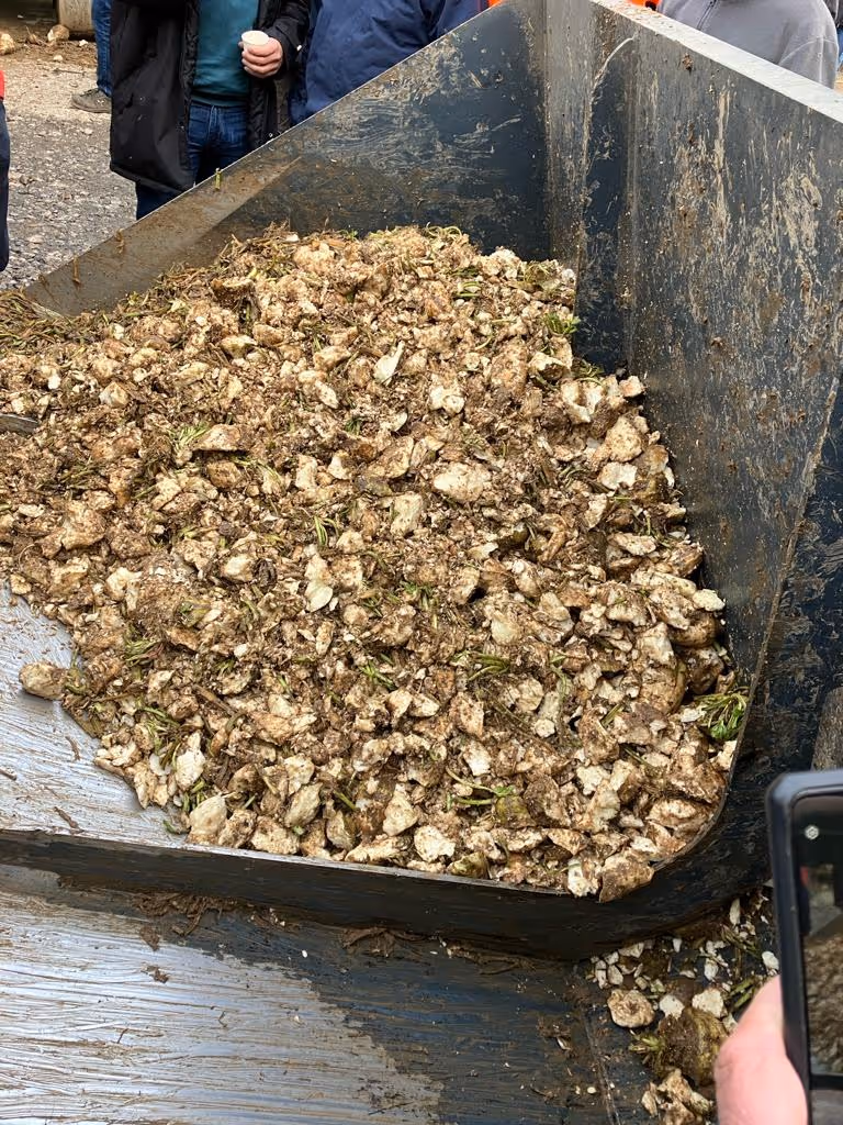 Cross Engineering Chopped Beet