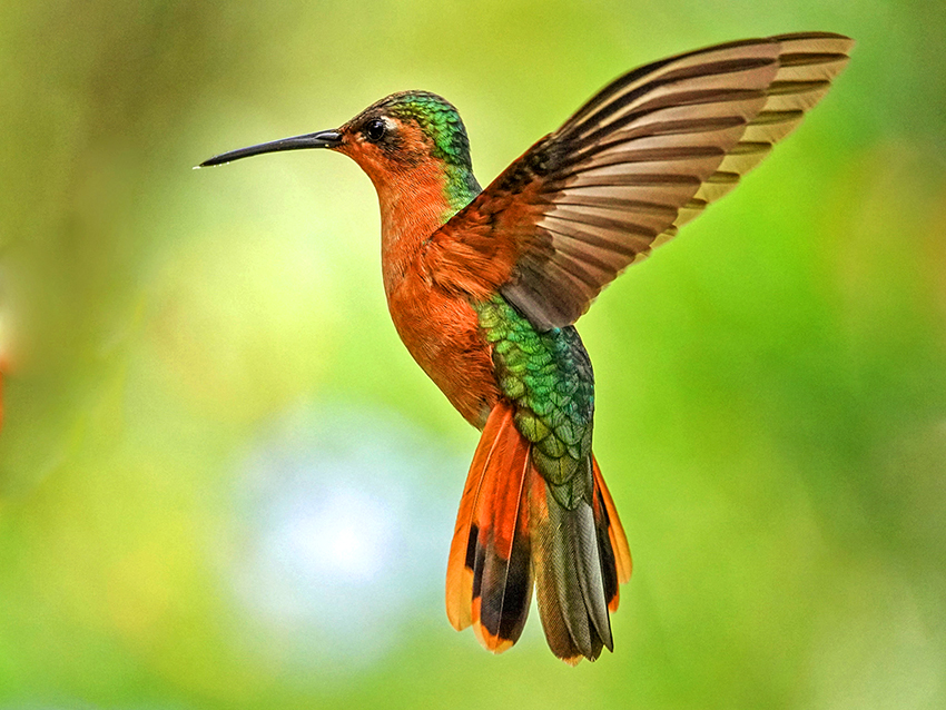 Photographer using Steadify on rocky coastline
