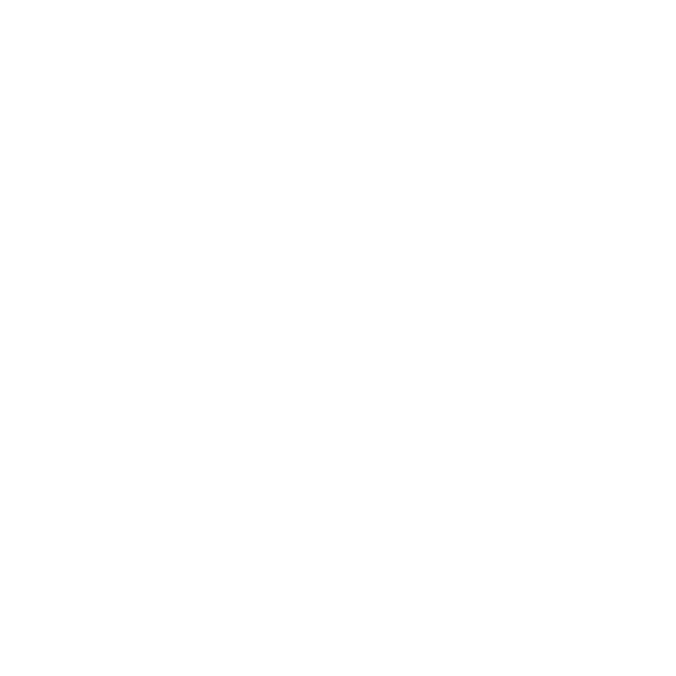 white phone icon